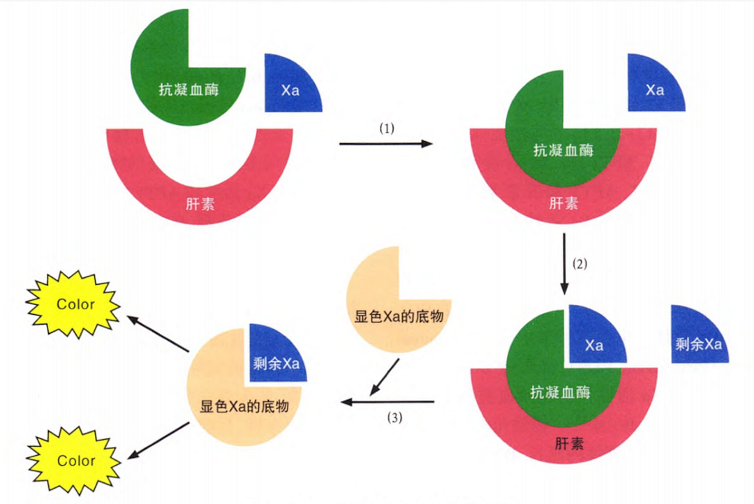 國產(chǎn)抗Xa質(zhì)量如何？多中心臨床研究來告訴你！